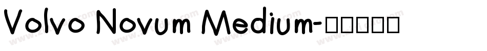 Volvo Novum Medium字体转换